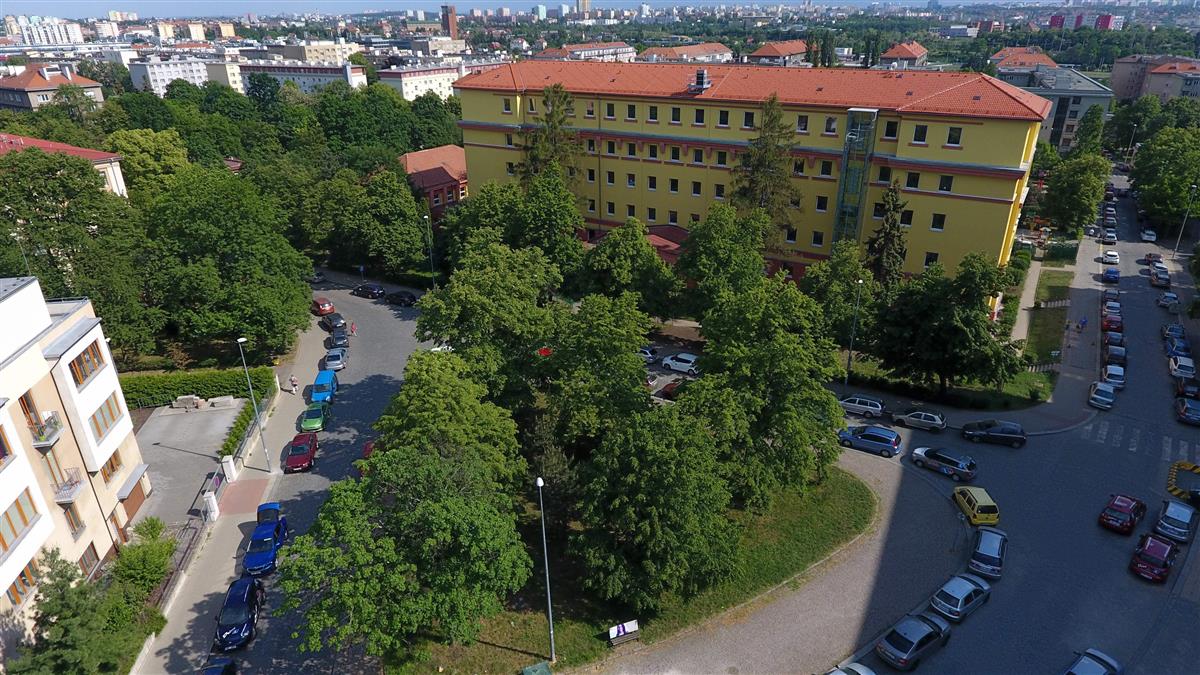 Brazduv_park.jpg