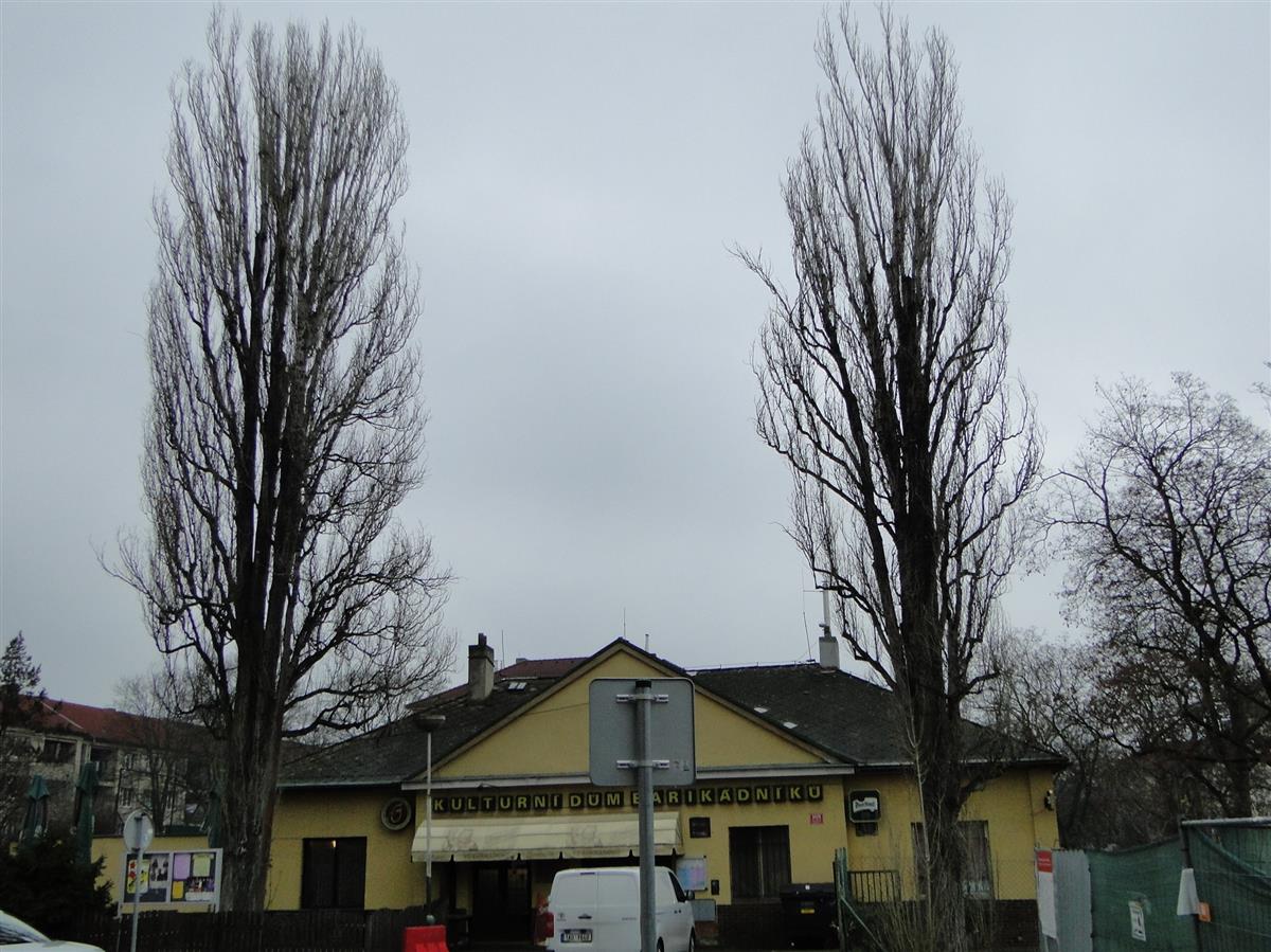 DSC06400.JPG