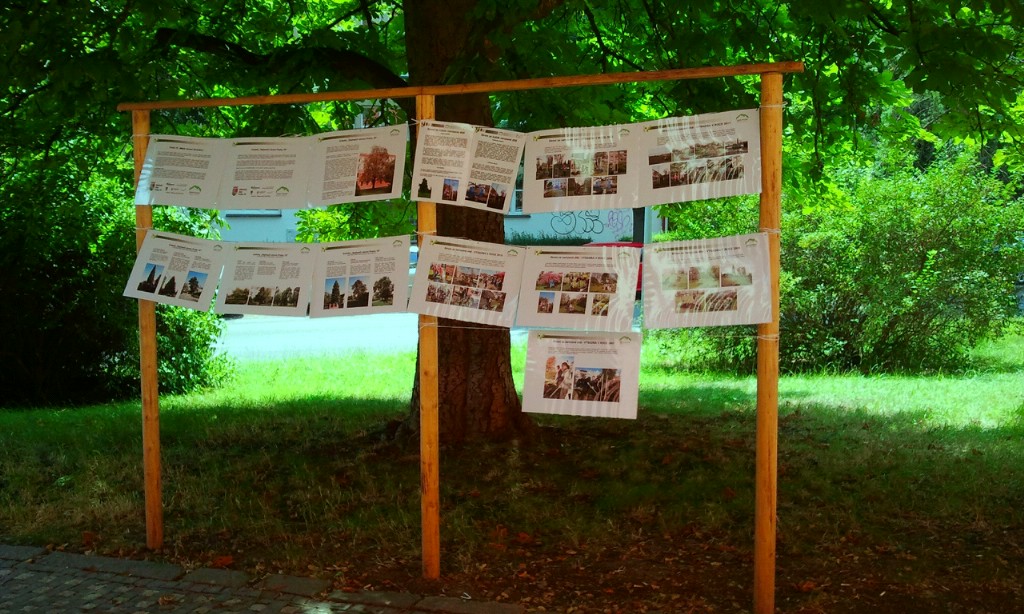 Fotografie1163E001.jpg