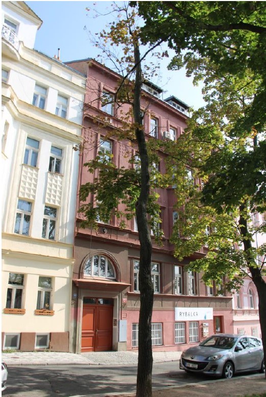 Kácení-stromů-ve-špatném-stavu-IV.jpg