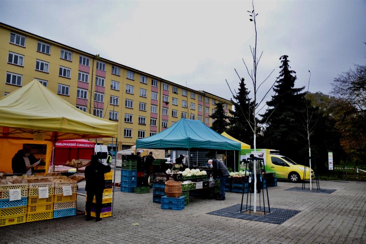Kuban_3.jpg