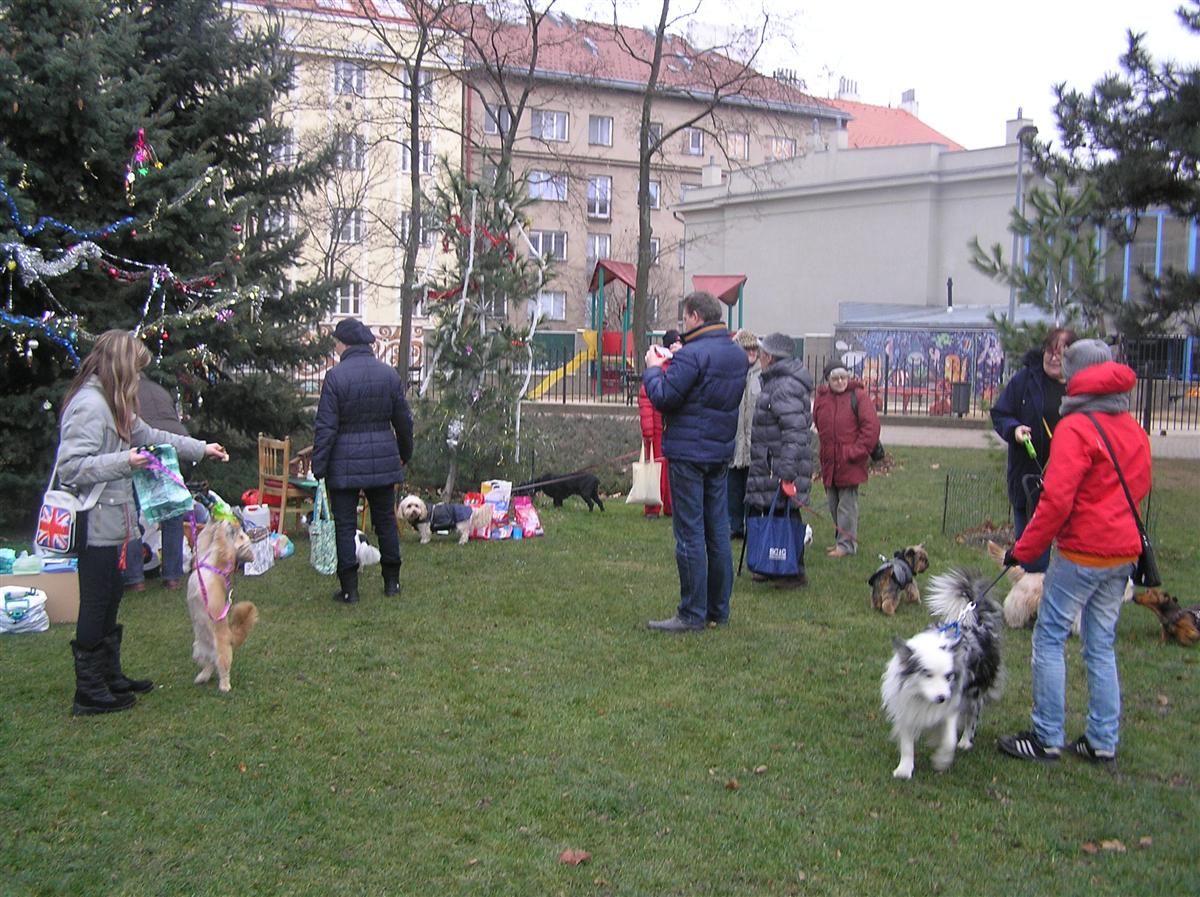 P1010106.JPG