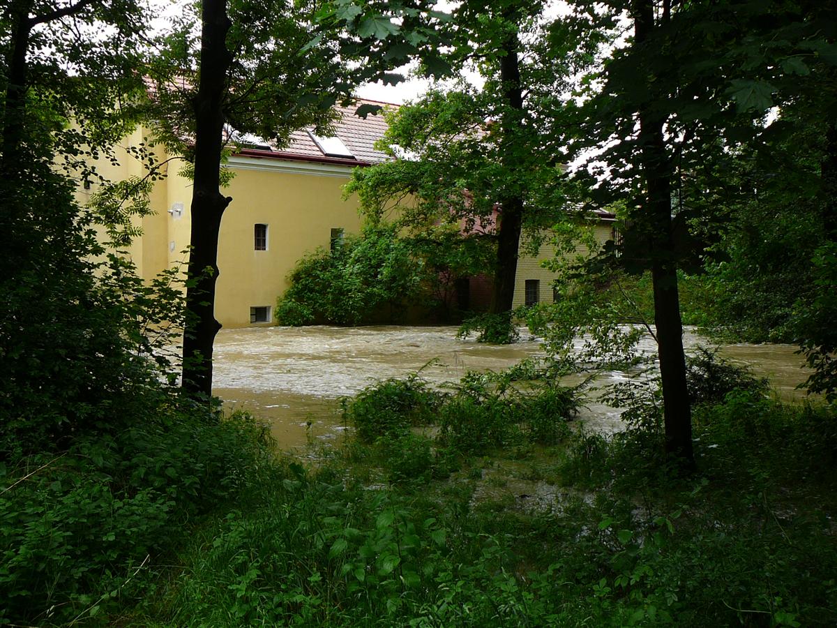 P1120162.JPG