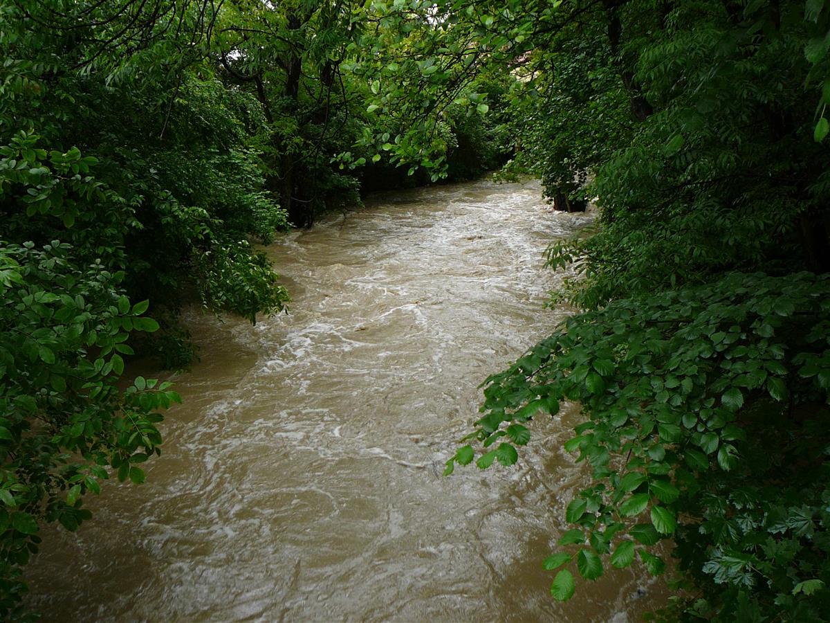 P1120163.jpg