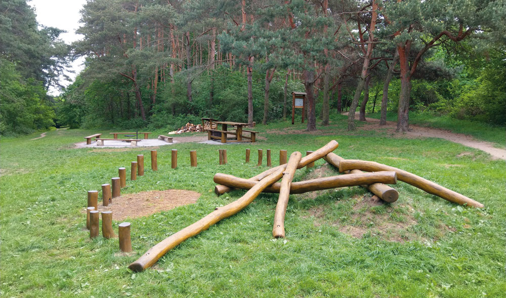 Pikniste_1000px.jpg