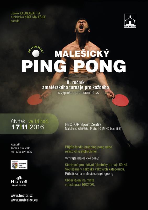 Ping_pong_2016_A5.jpg