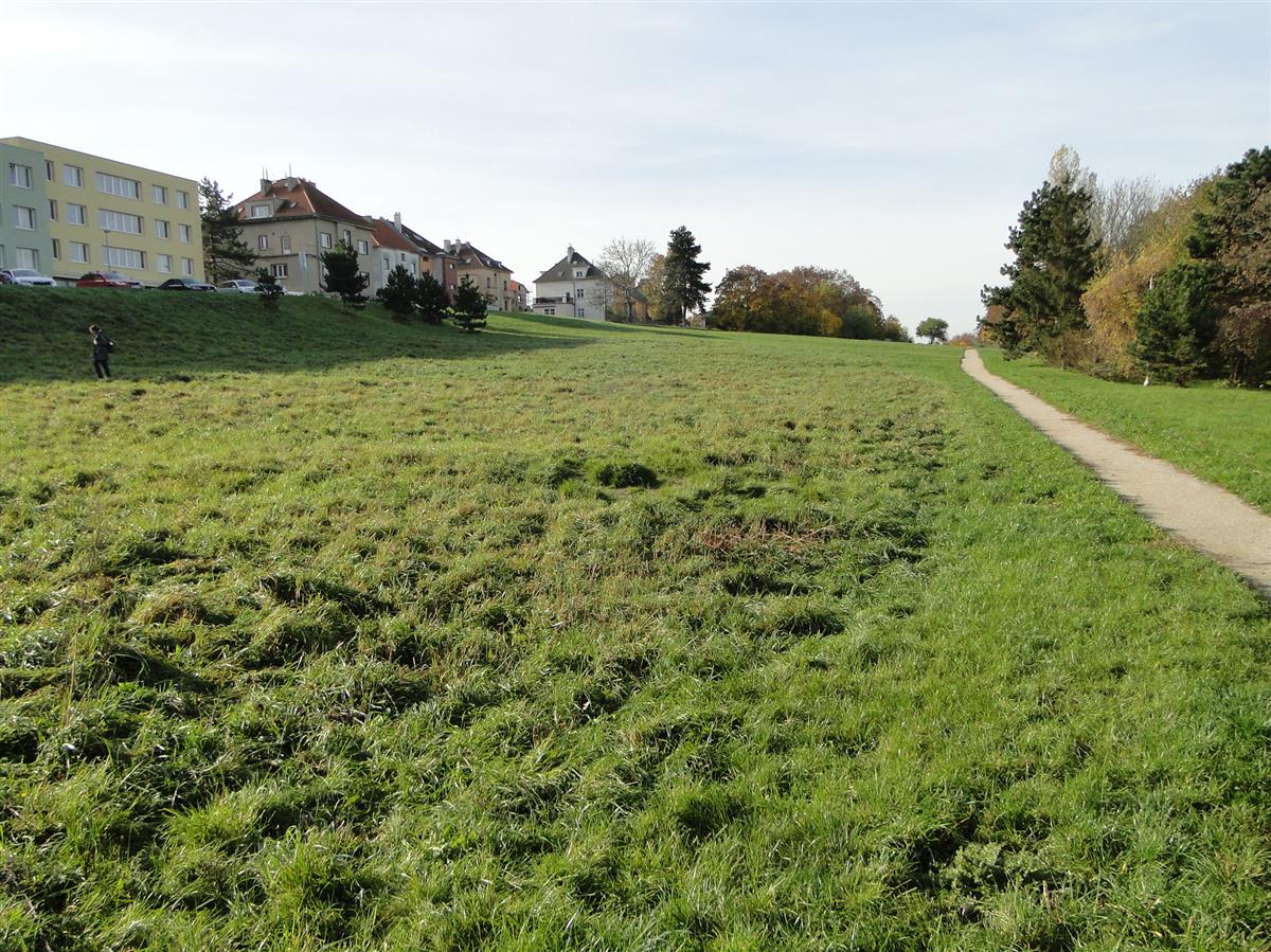 Veřejné-prostory-zeleň-DSC01013.JPG