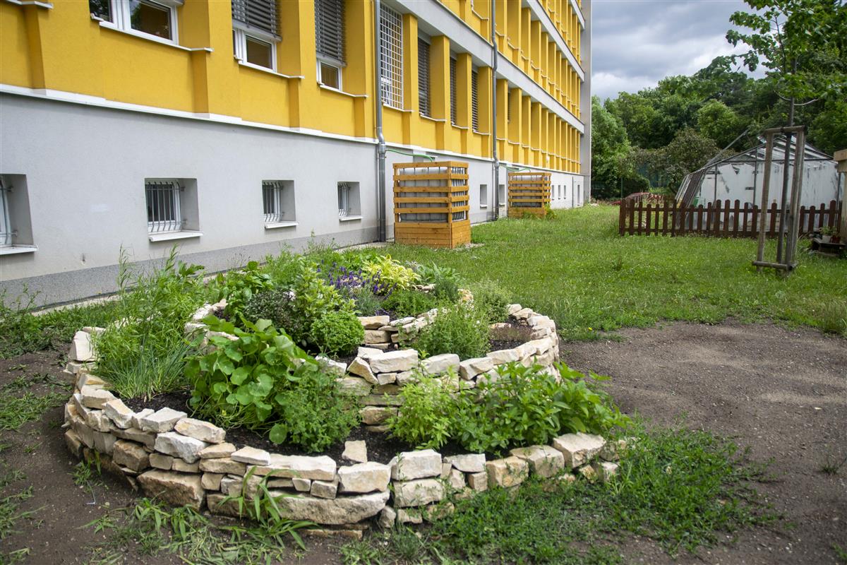 ZŠ_Eden_bylinková_spirála.JPG