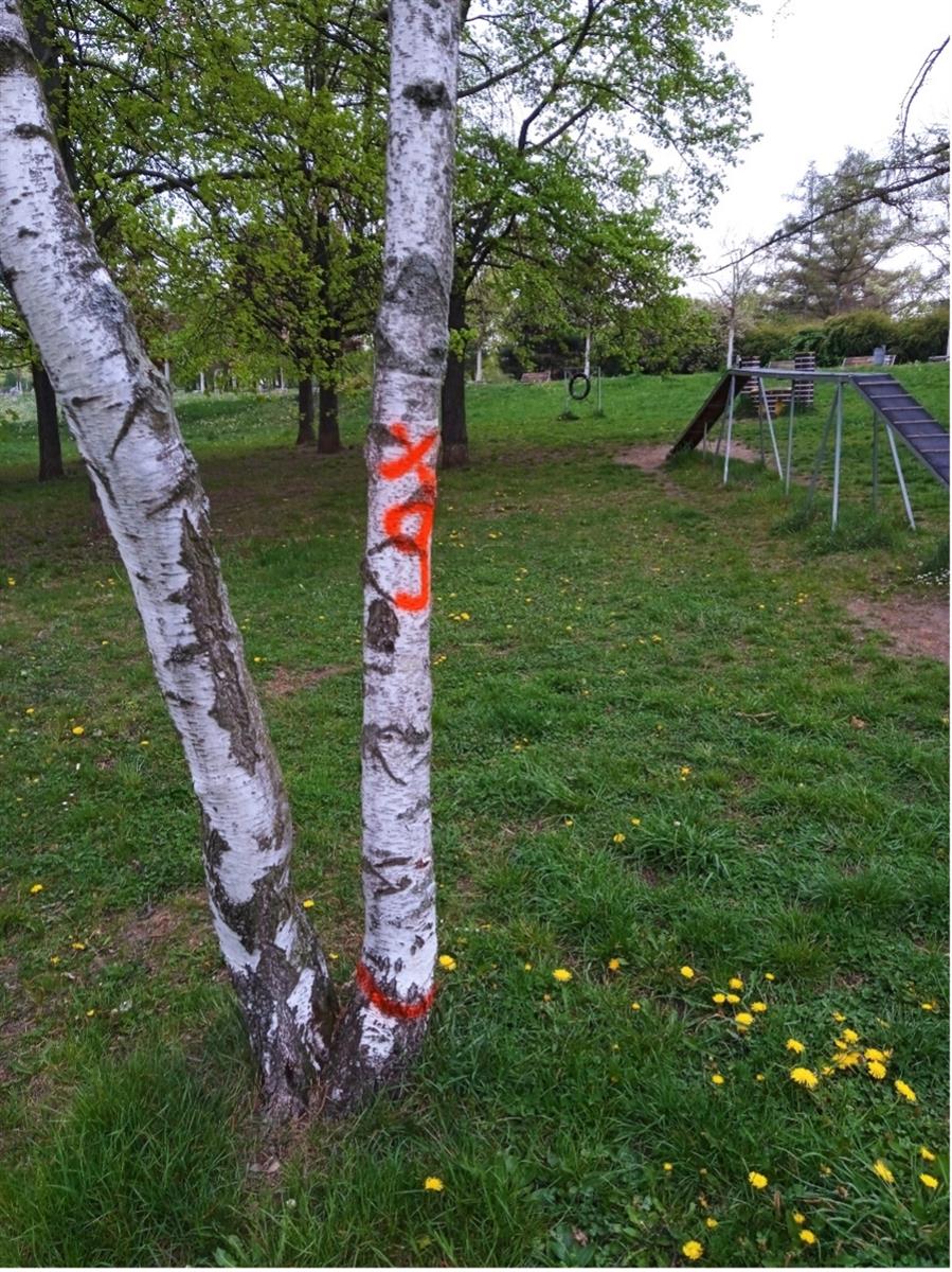 kaceni4.jpg