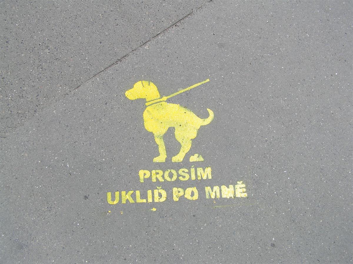 nastrik.JPG