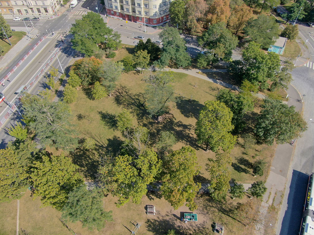 park.jpg