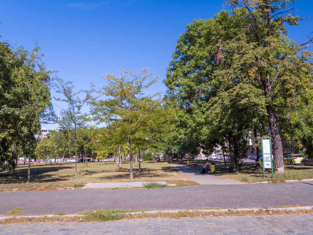 park_2.jpg