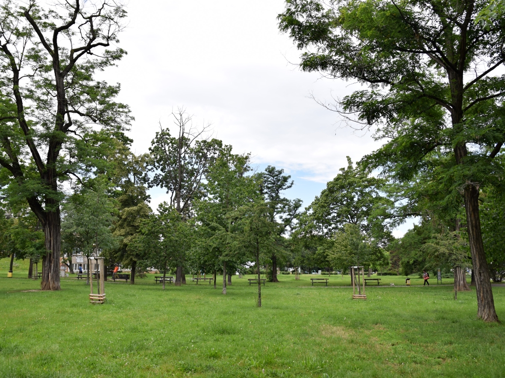 park_chalupeckeho.jpg
