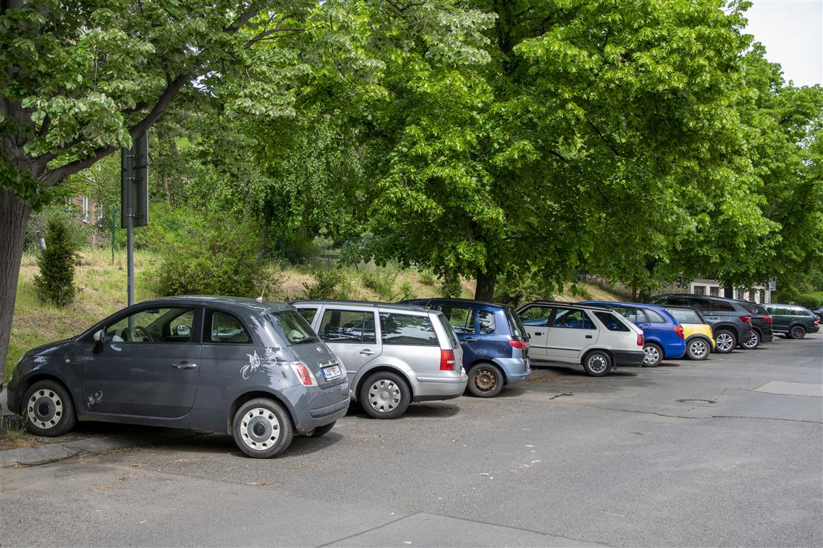 parkovani_1.JPG