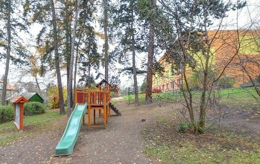 2919.jpg