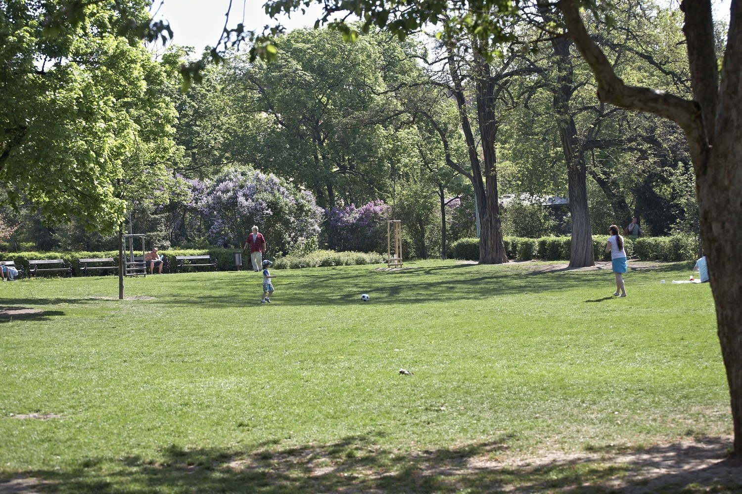 3120.jpg