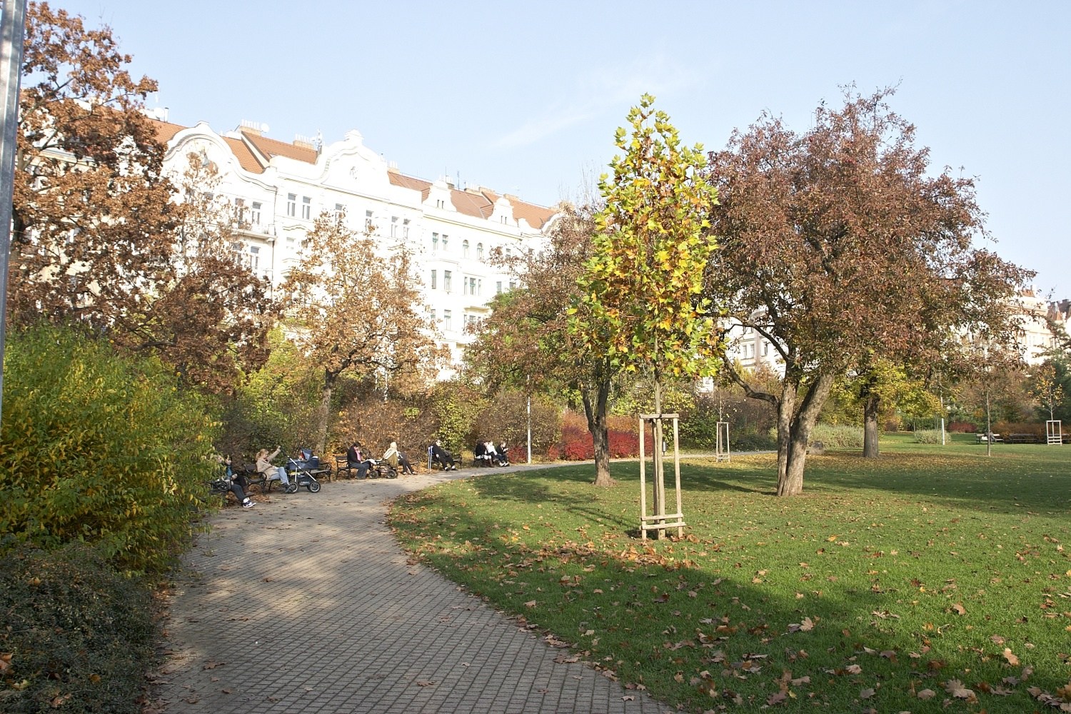 3122.jpg