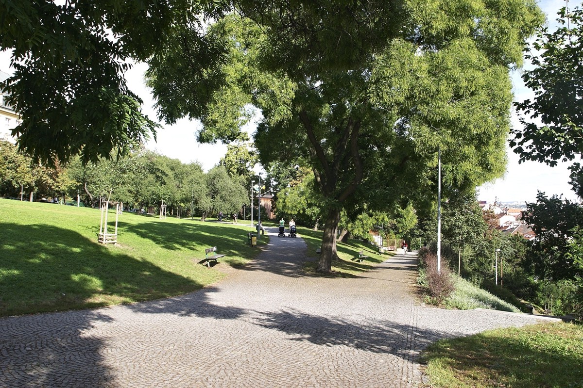 3132.jpg