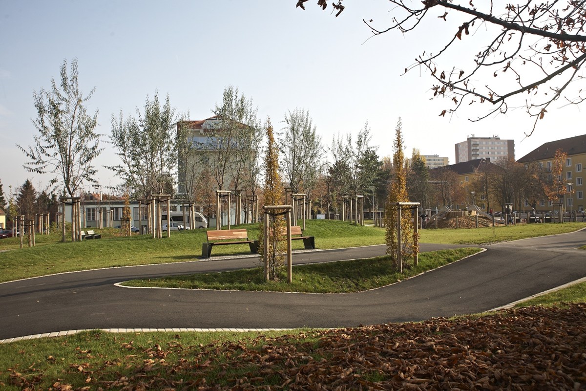 3148.jpg