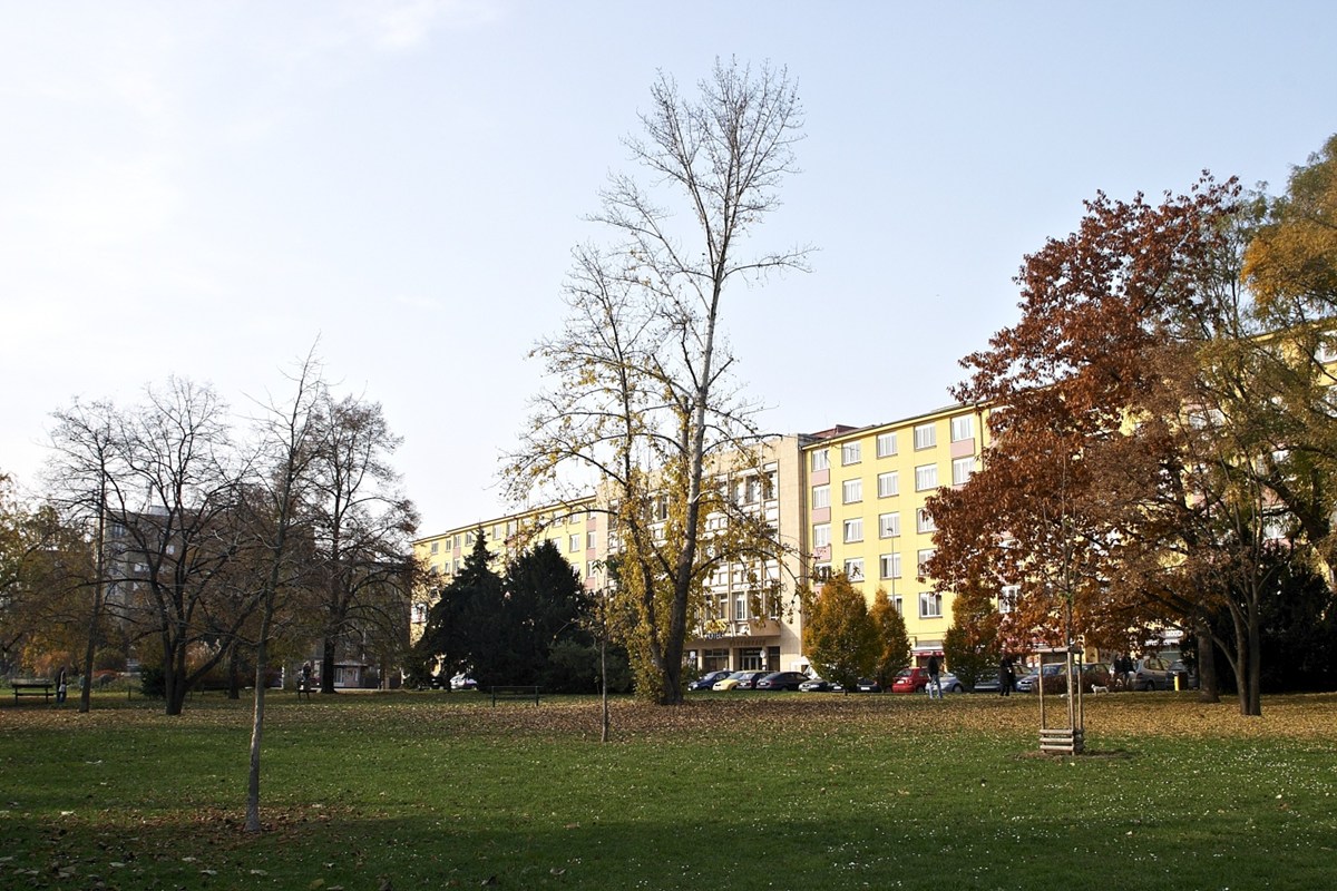 3153.jpg