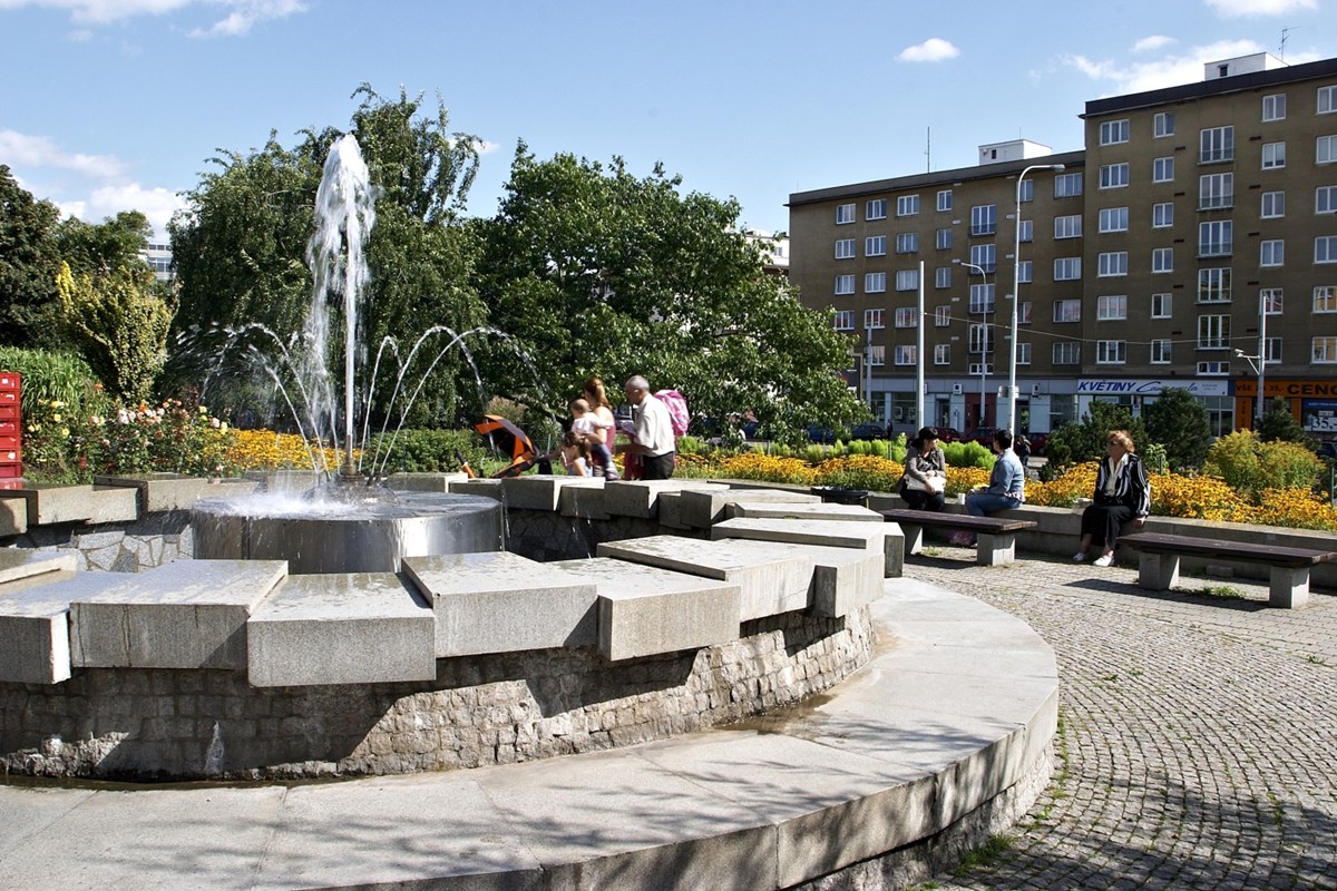 3154.jpg