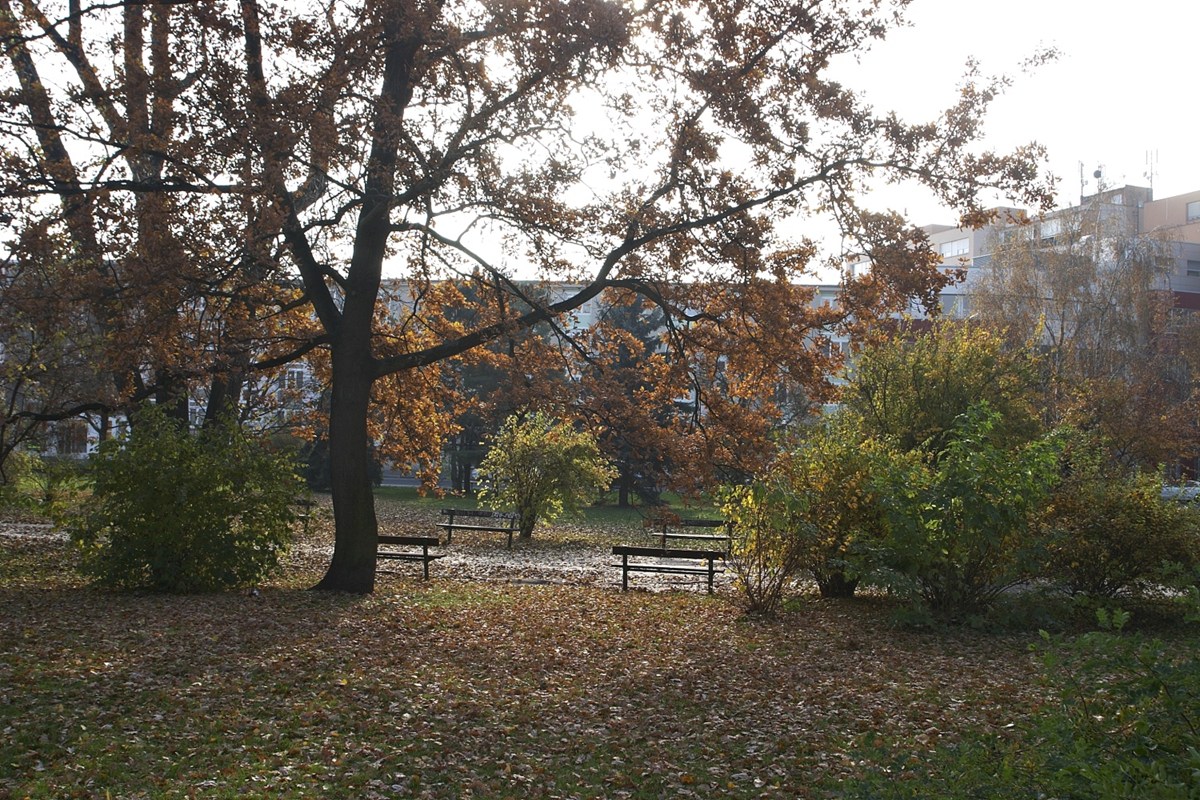 3155.jpg