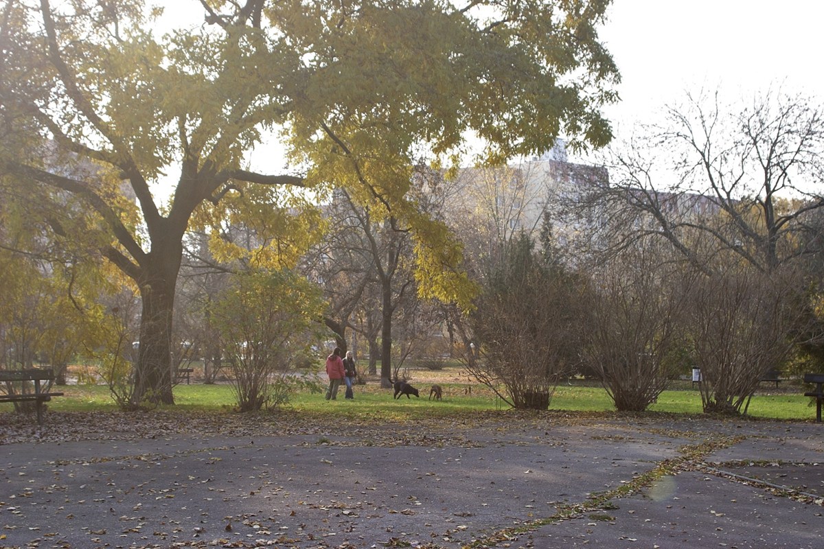 3156.jpg