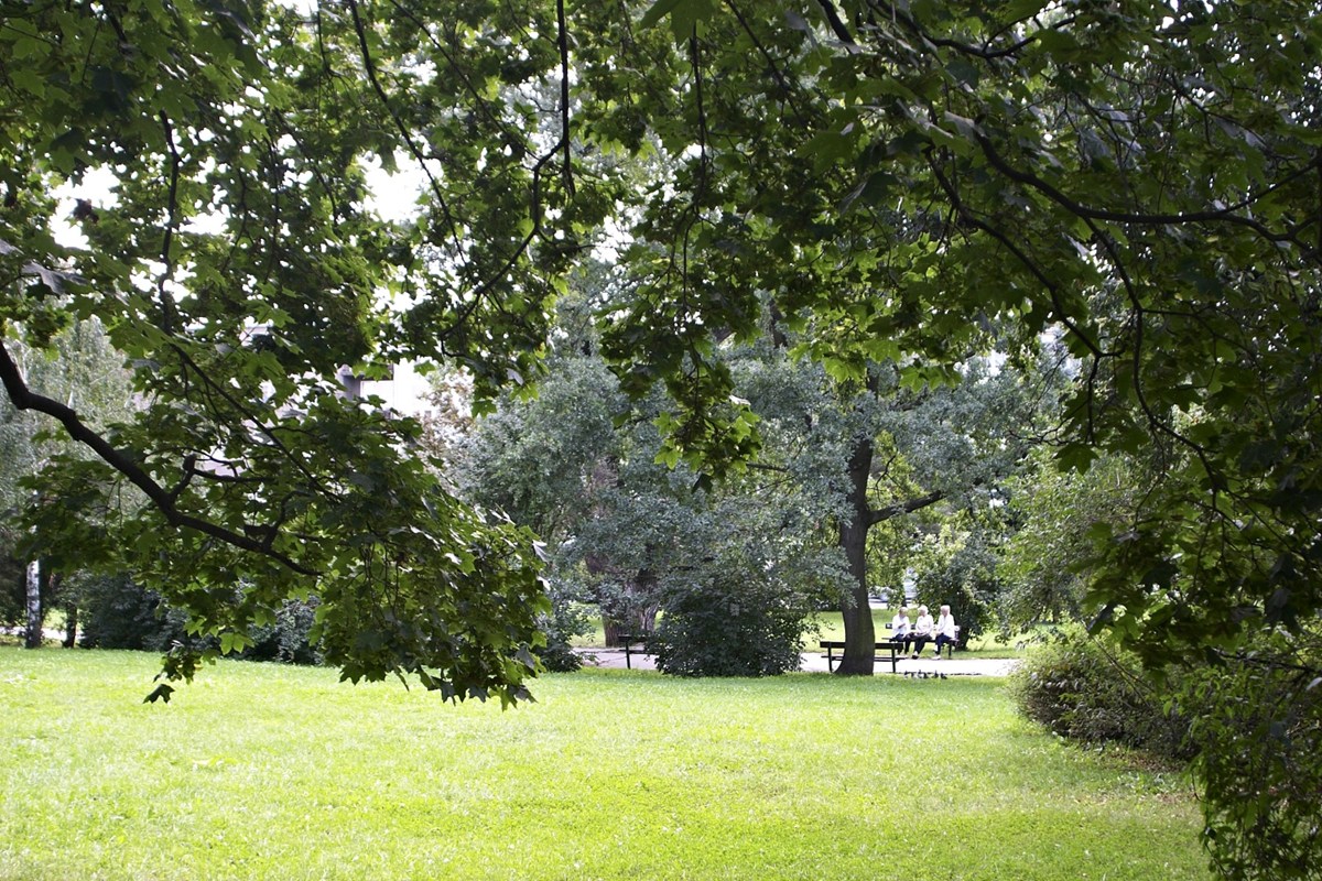 3158.jpg