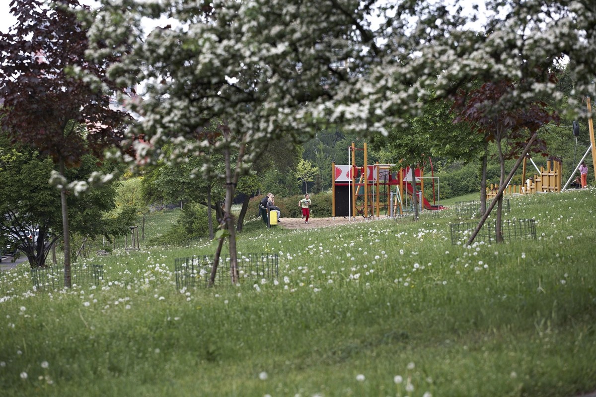 3160.jpg