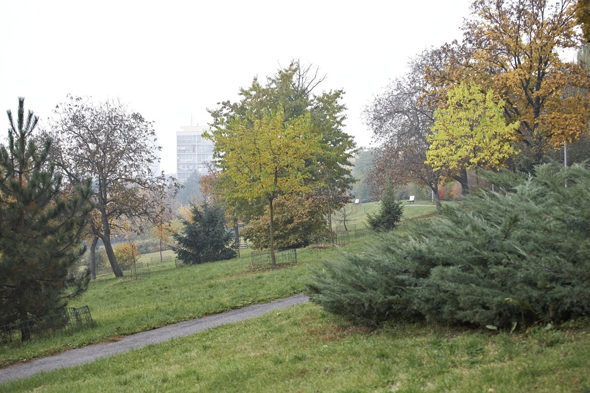 3163.jpg