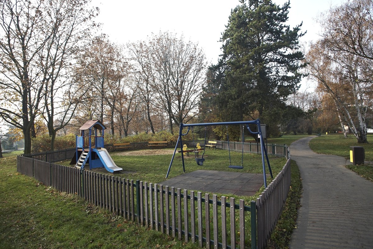 3172.jpg