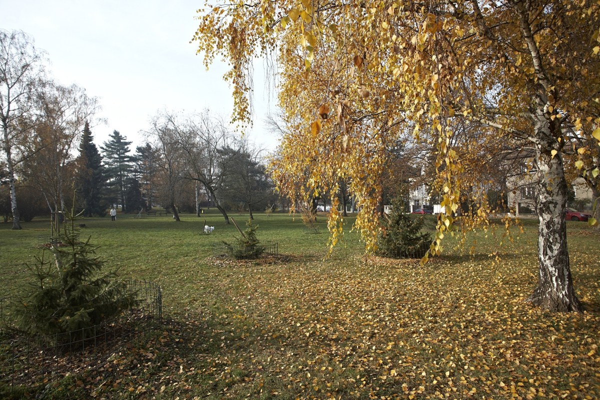 3173.jpg