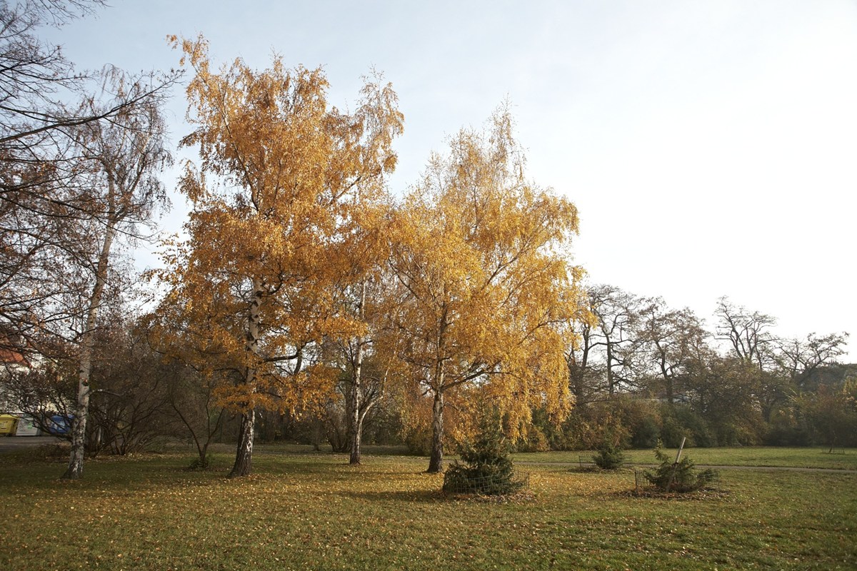 3174.jpg