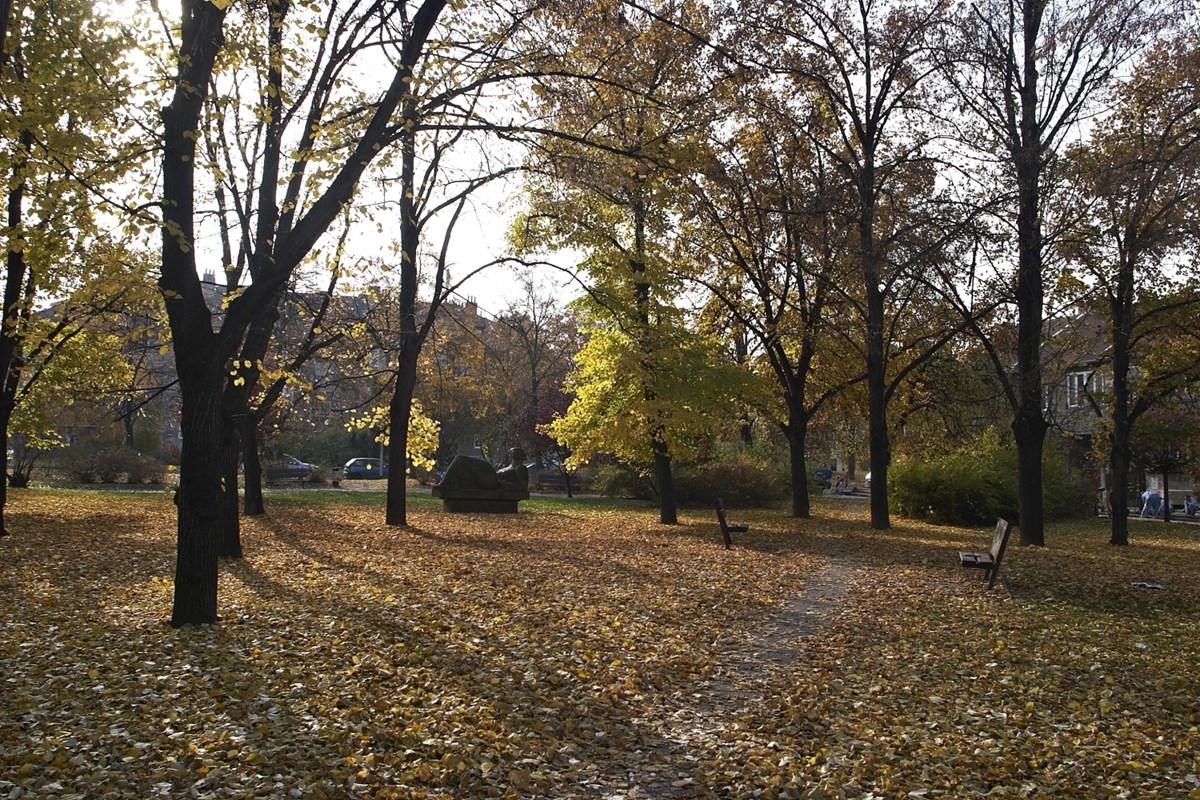 3184.jpg