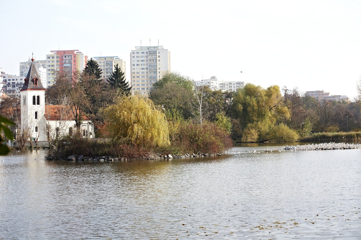 3186.jpg