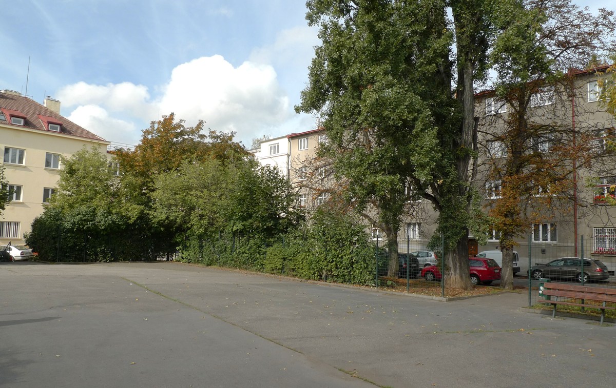 3257.jpg