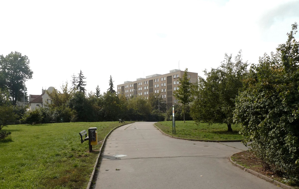 3259.jpg