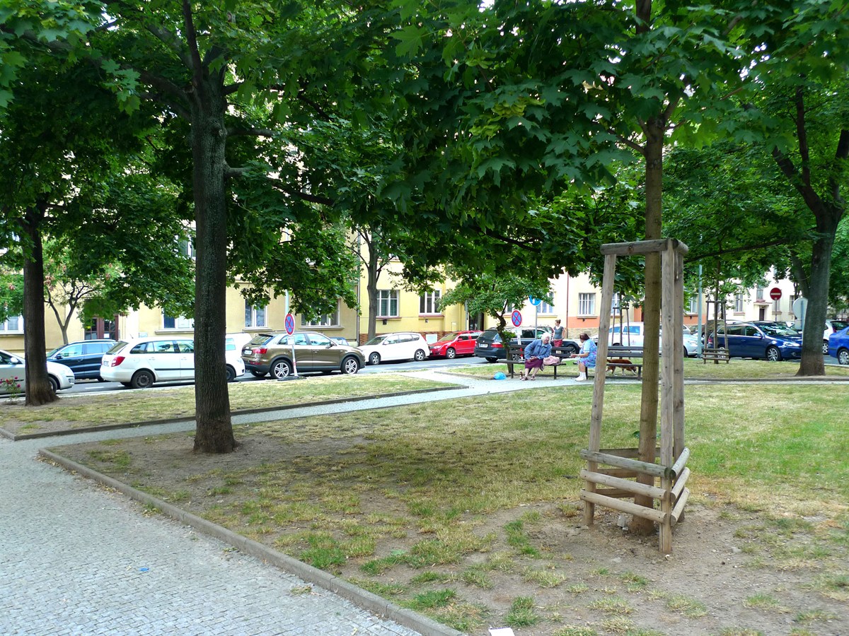 3262.jpg