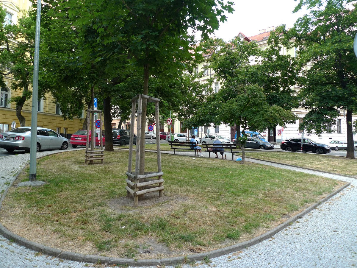 3265.jpg