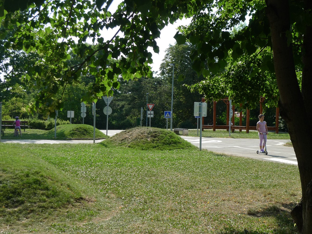 3269.jpg