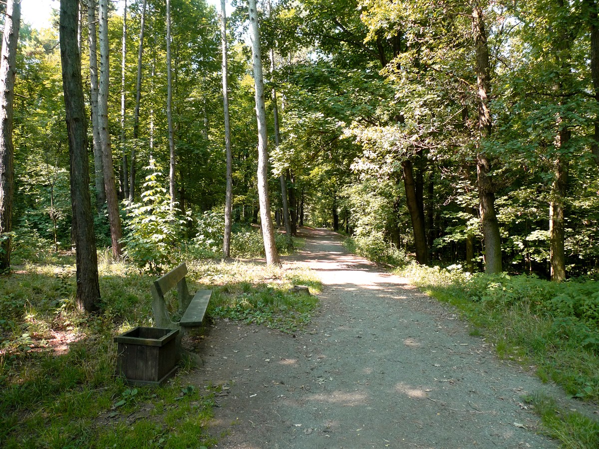 3287.jpg