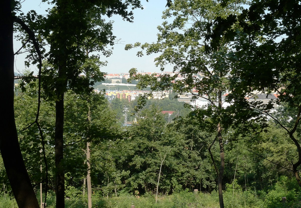 3290.jpg