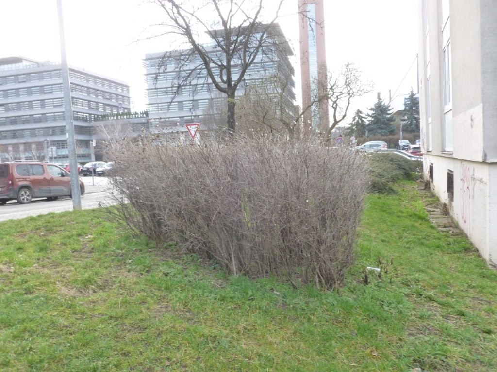 P1250250.jpg