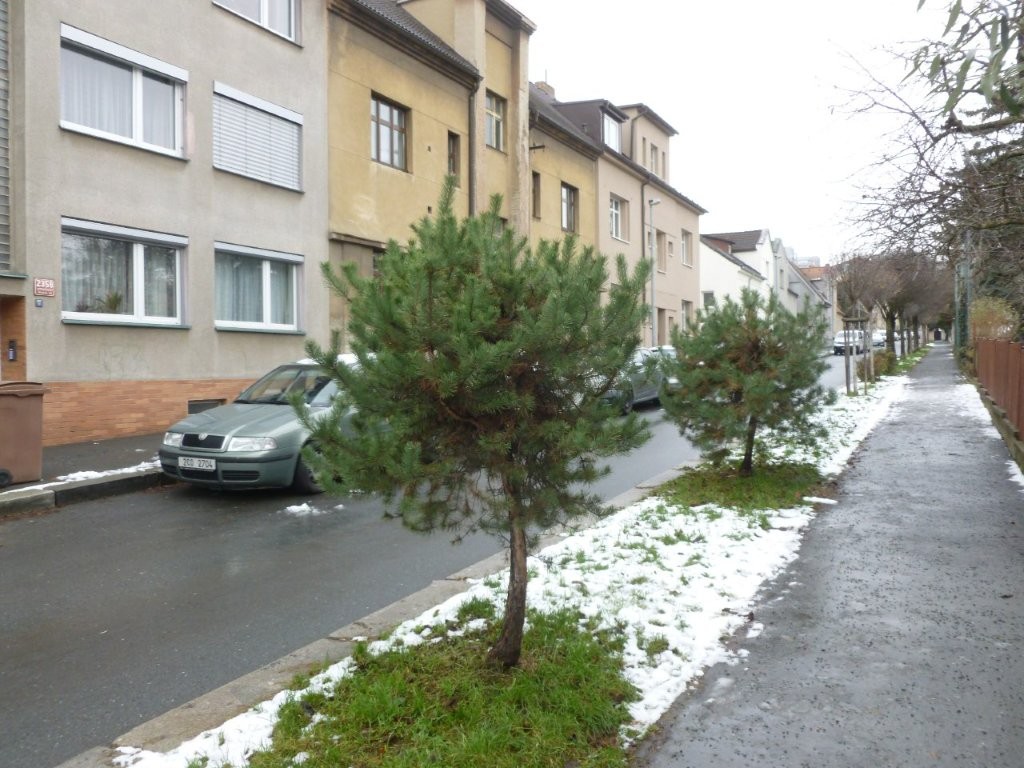 PodStrasnickvinici2.jpg