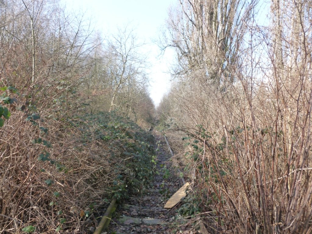 Trať.jpg