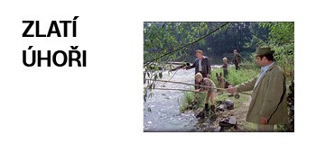 Zlatí-úhoři.jpg
